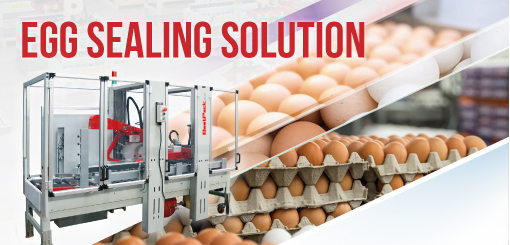 Solución en Sellado de Cajas de Huevos